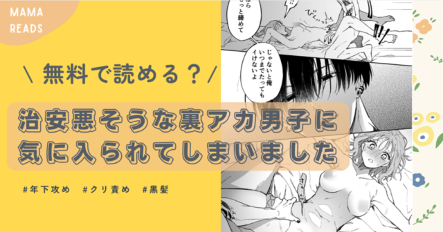 [無料漫画]治安悪そうな裏アカ男子に気に入られてしまいましたraw,hitomi,momonga違法サイトで読んだら罰金って本当？